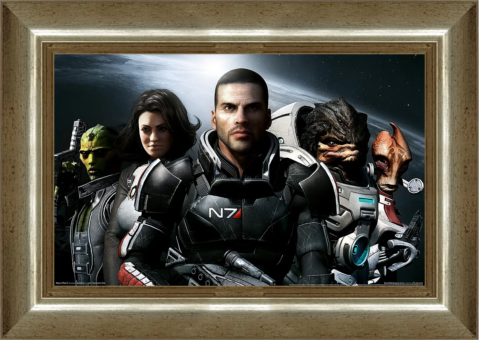 Картина в раме - Mass Effect 2