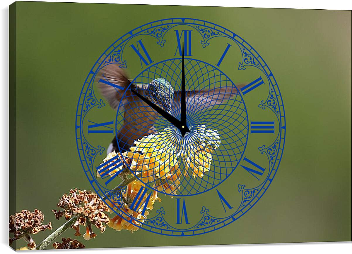 Часы картина - Колибри