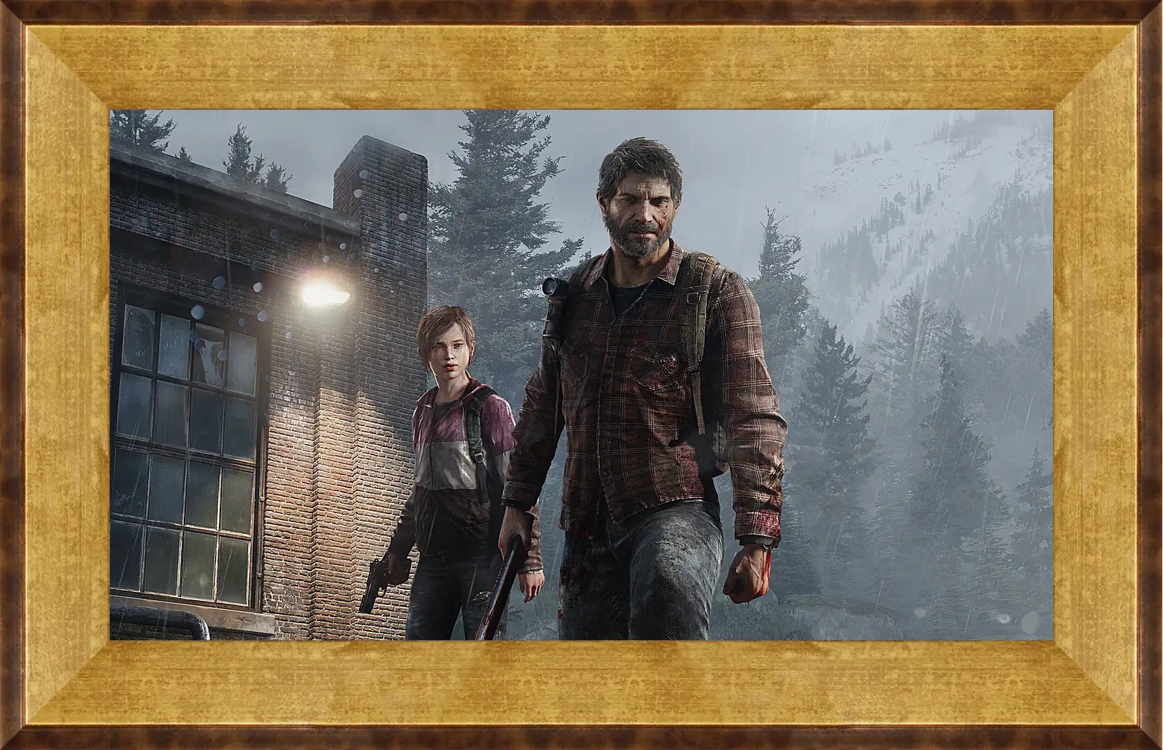 Картина в раме - The Last Of Us
