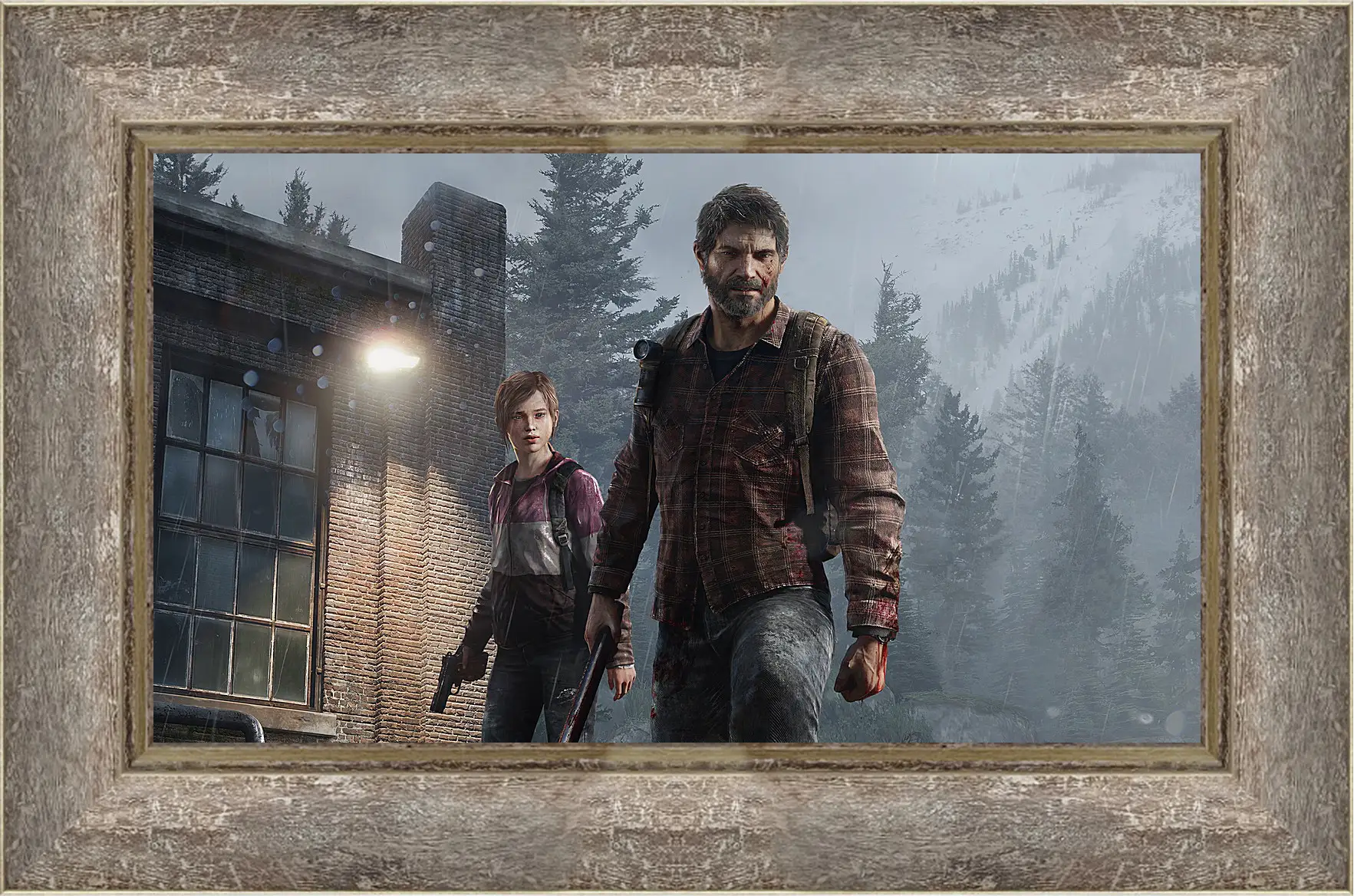 Картина в раме - The Last Of Us
