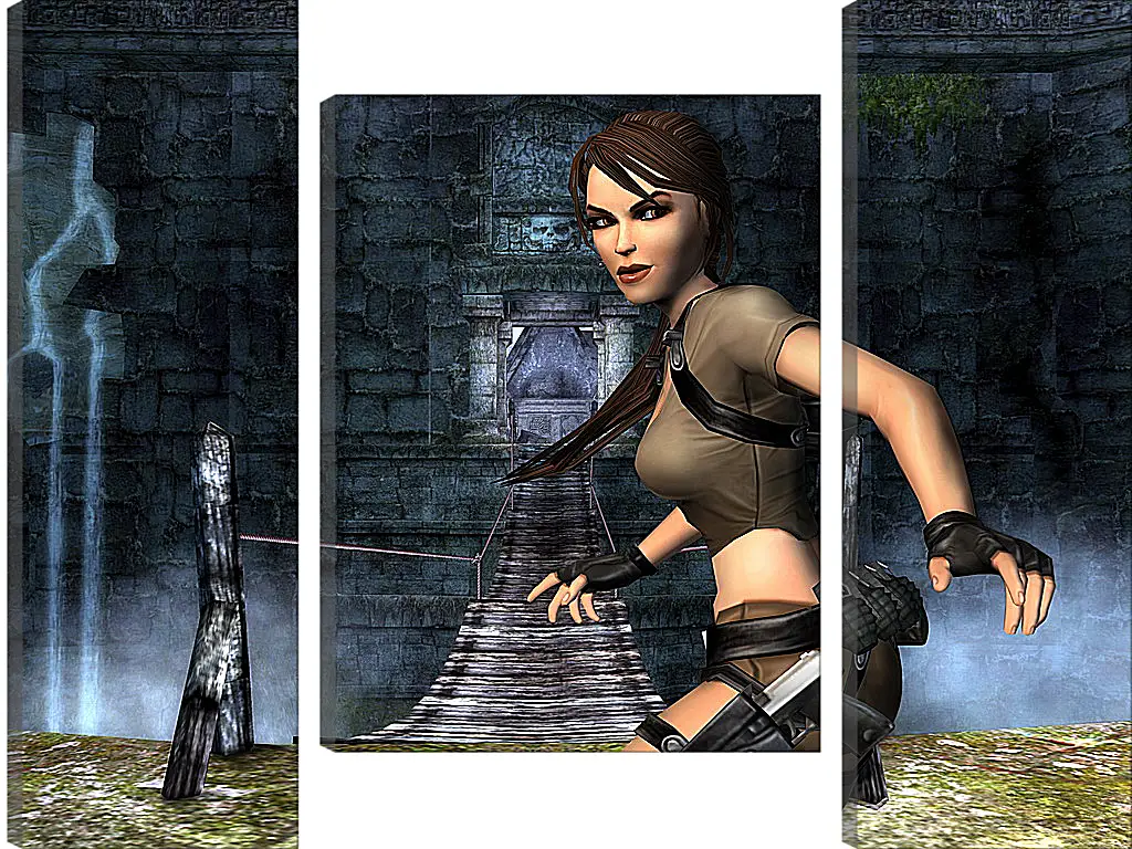 Модульная картина - Tomb Raider Legend