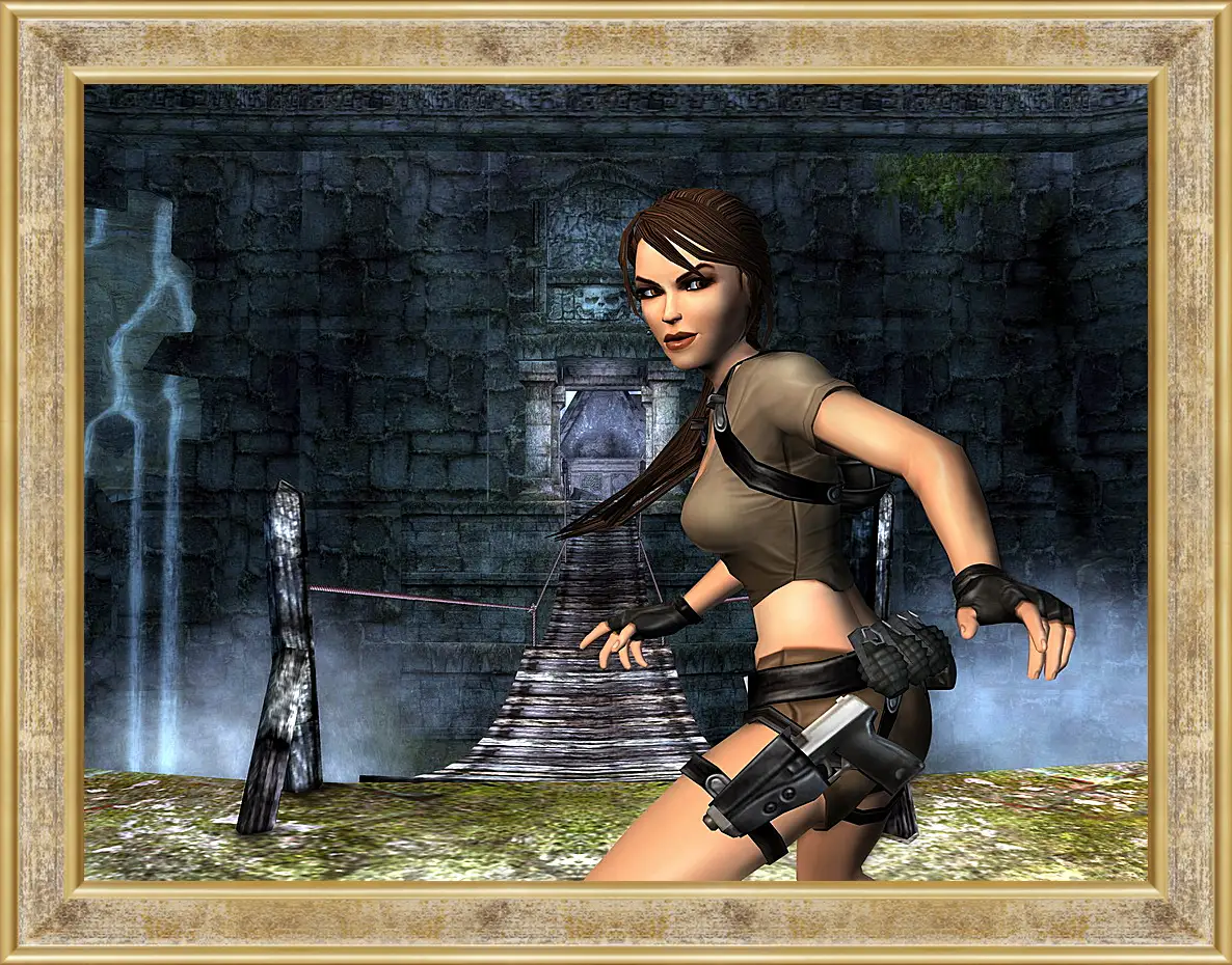 Картина в раме - Tomb Raider Legend