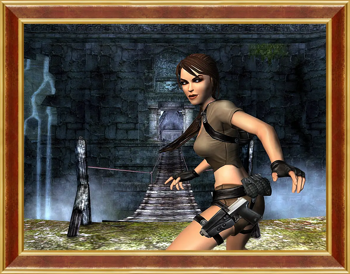 Картина в раме - Tomb Raider Legend