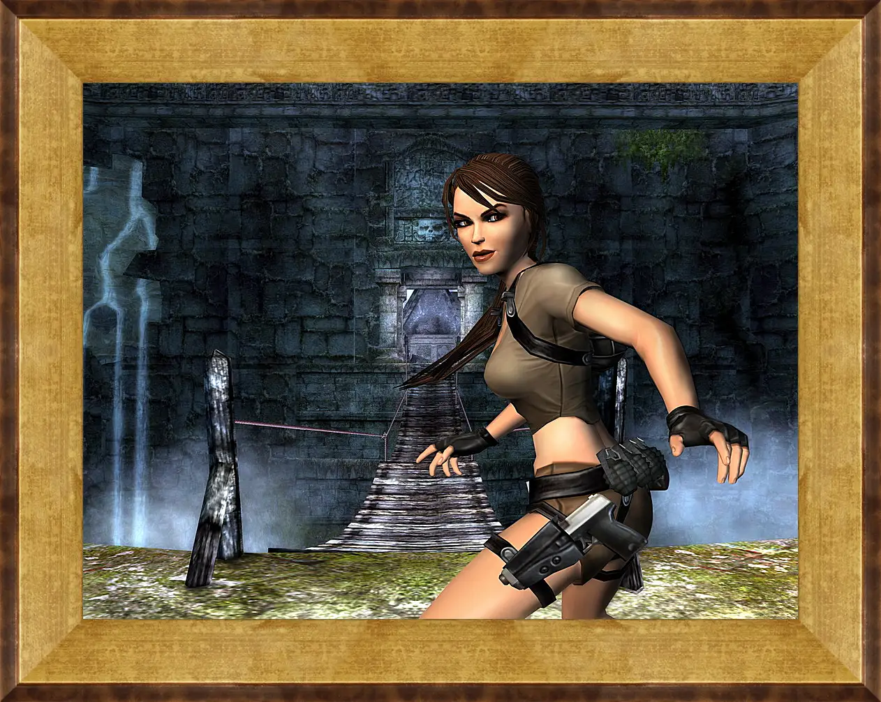 Картина в раме - Tomb Raider Legend