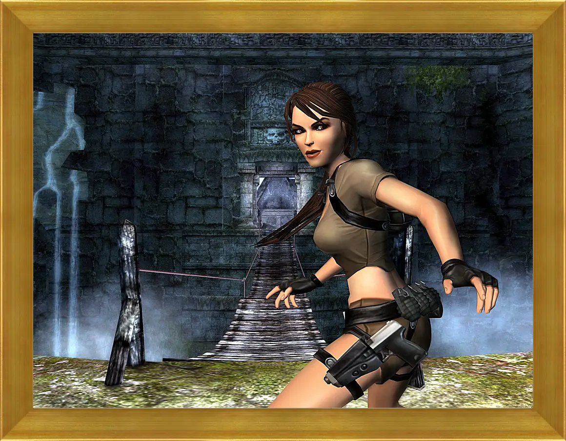 Картина в раме - Tomb Raider Legend