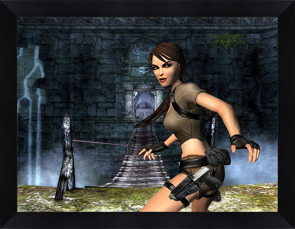 Картина в раме - Tomb Raider Legend