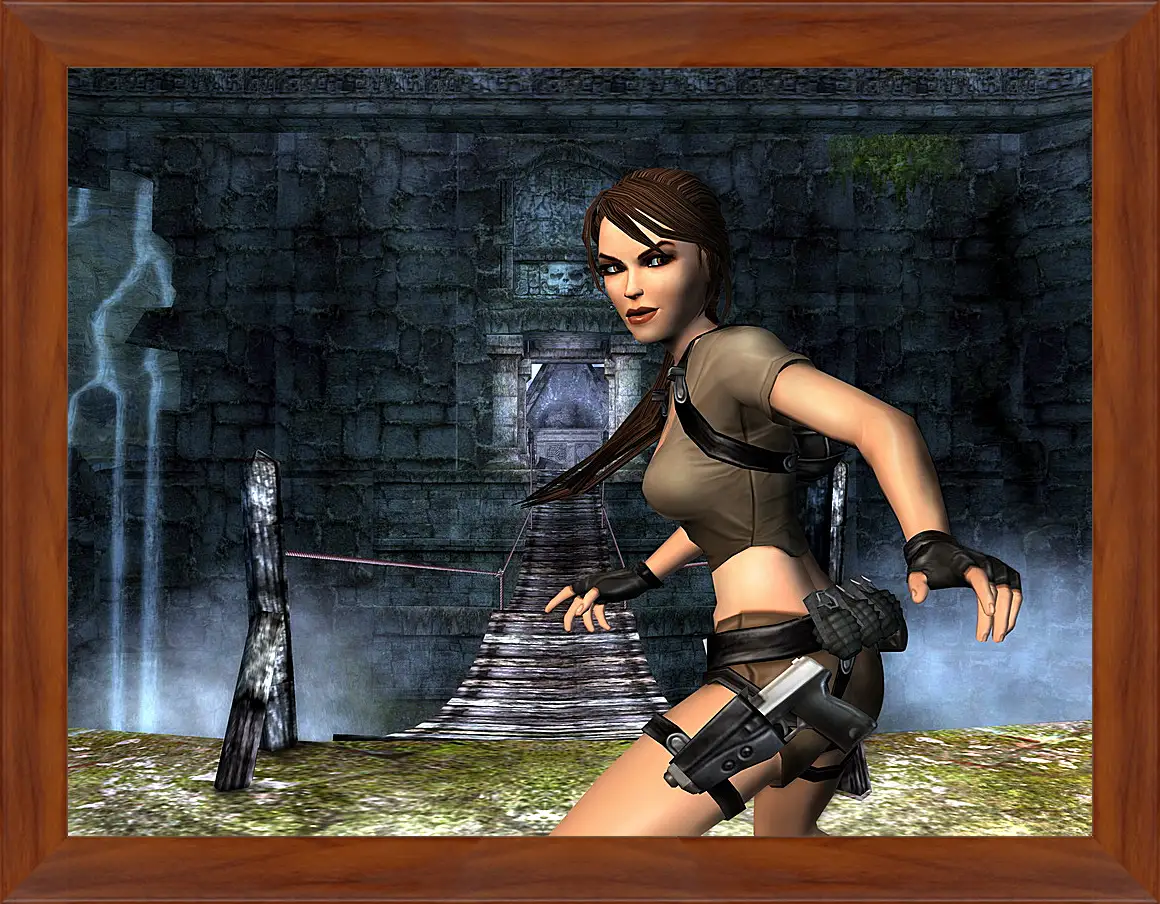 Картина в раме - Tomb Raider Legend