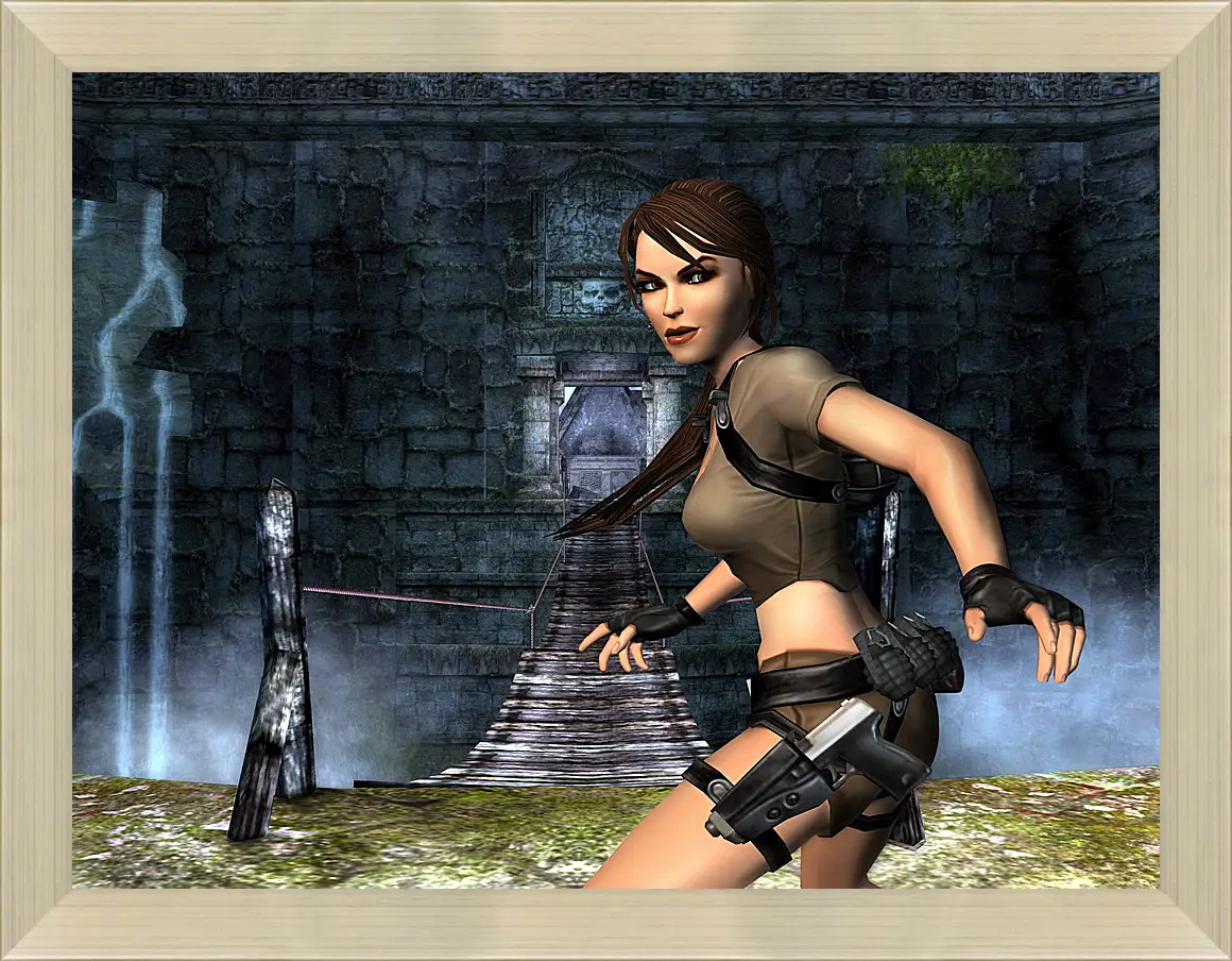 Картина в раме - Tomb Raider Legend