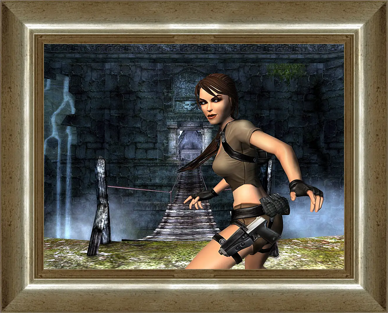 Картина в раме - Tomb Raider Legend