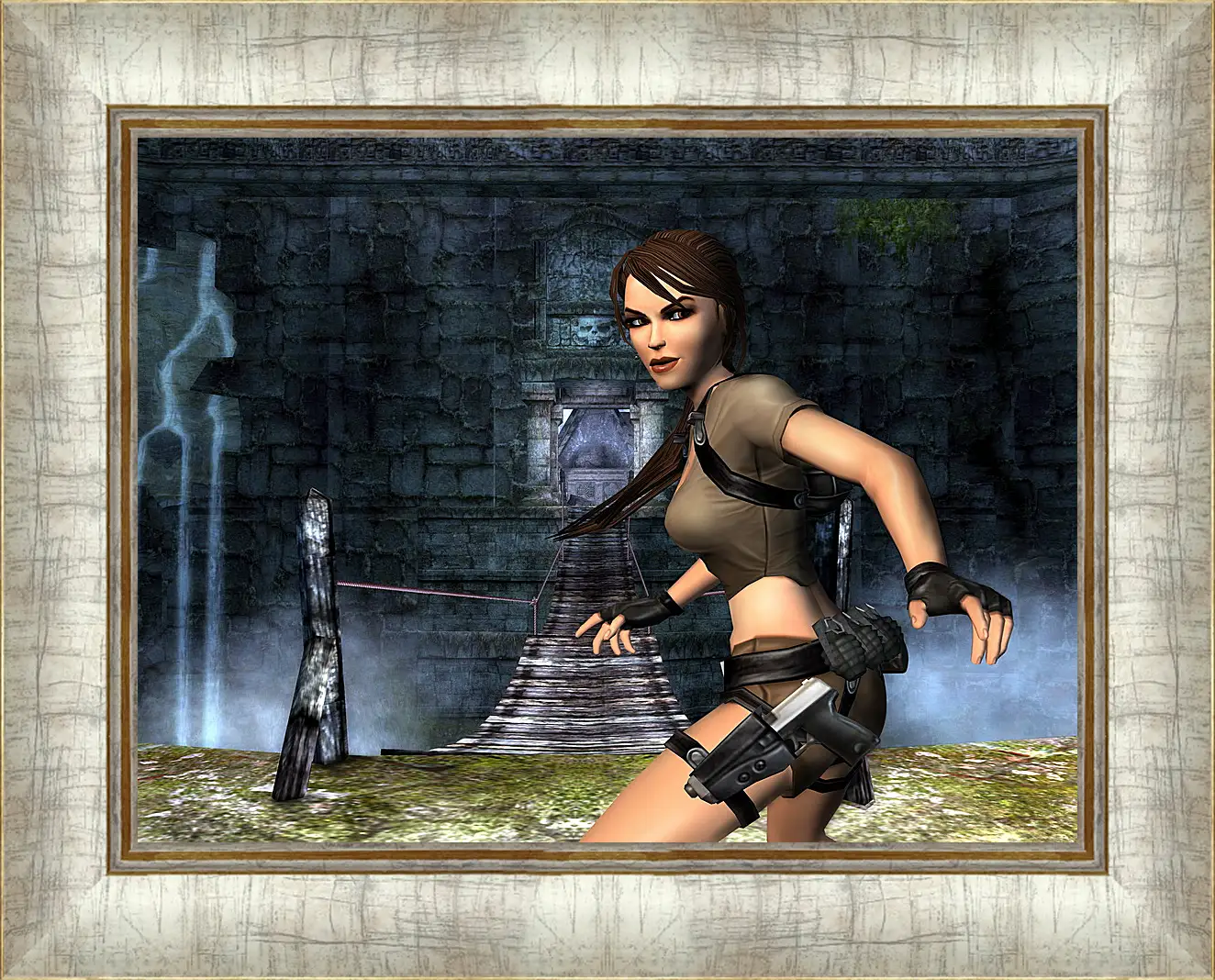 Картина в раме - Tomb Raider Legend