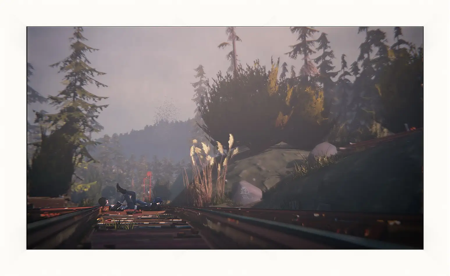 Картина в раме - Life Is Strange
