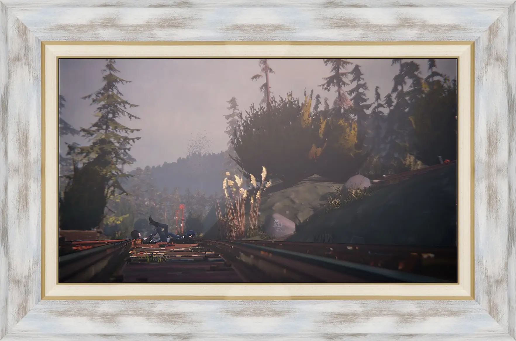 Картина в раме - Life Is Strange
