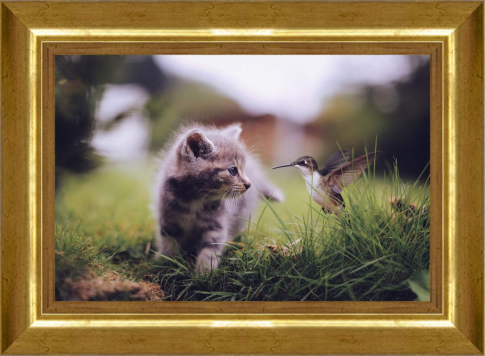 Картина в раме - Колибри и котёнок