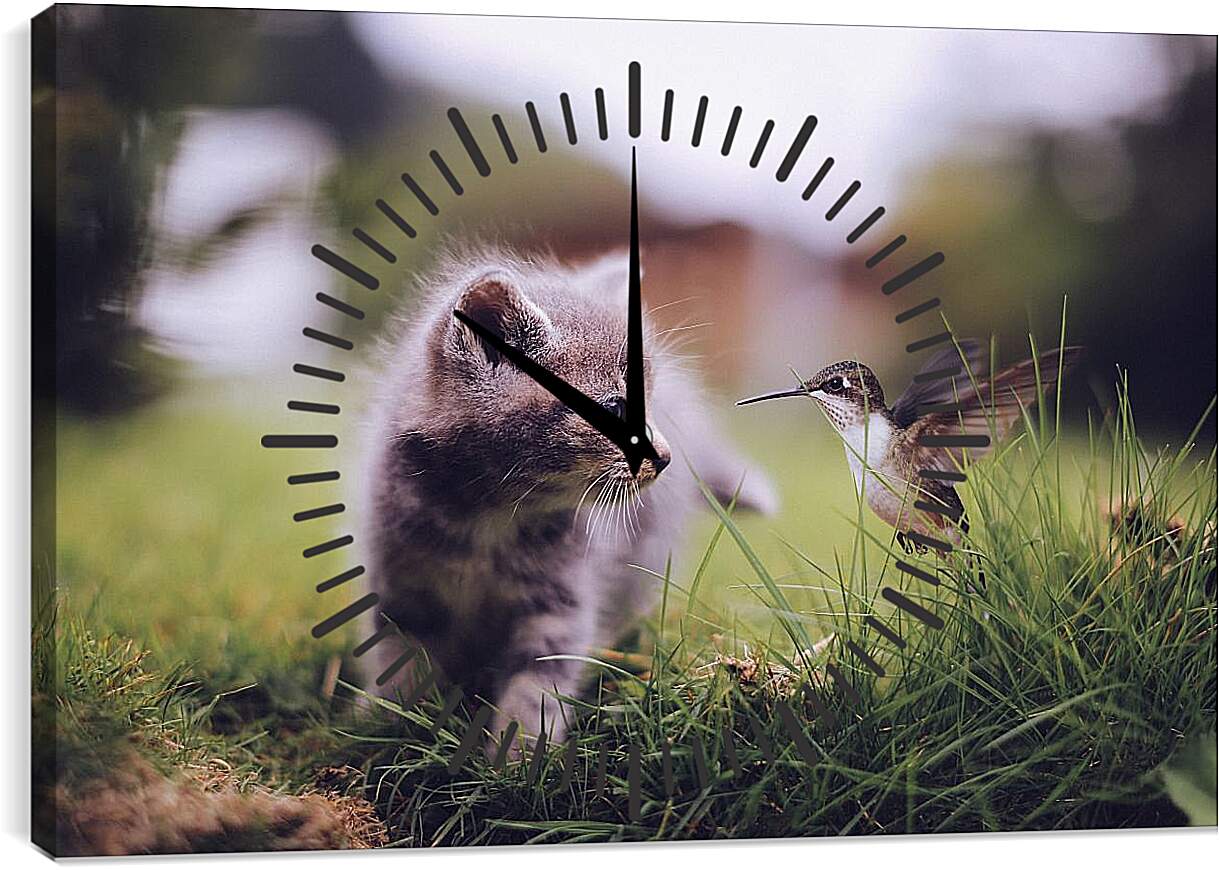Часы картина - Колибри и котёнок