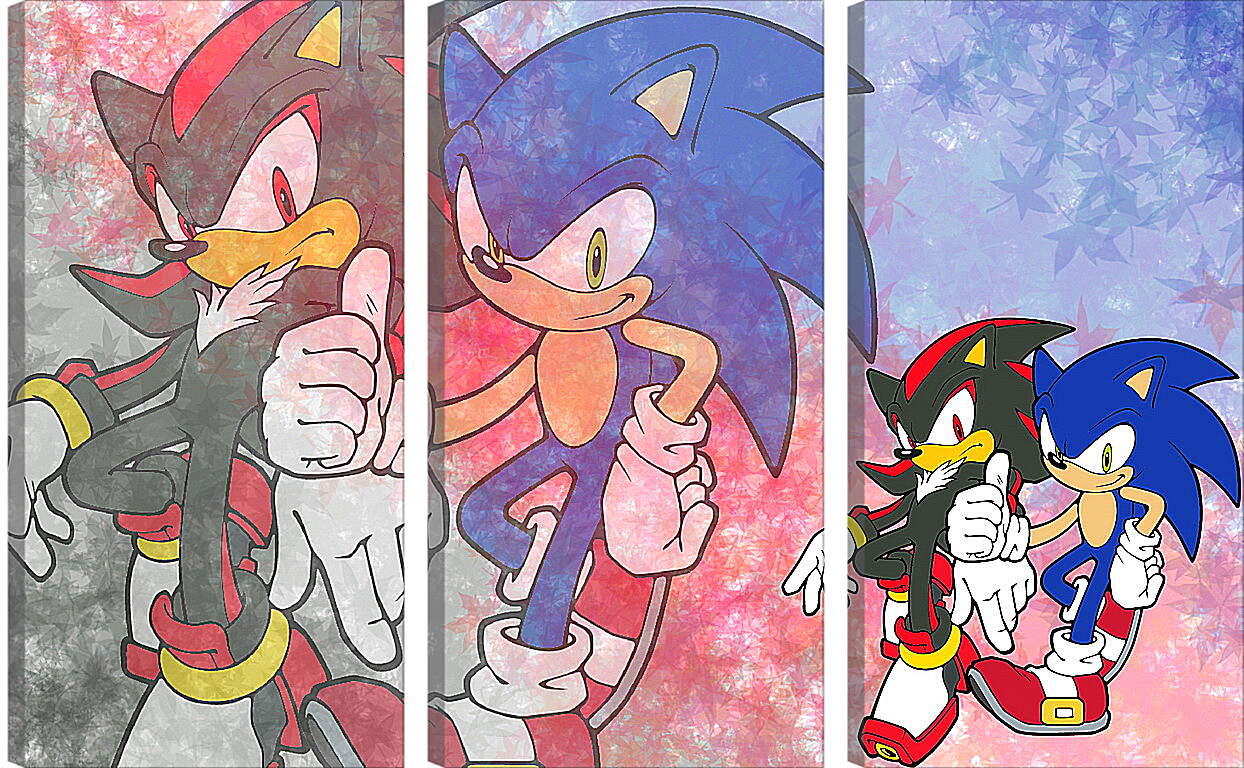 Модульная картина - Sonic Adventure 2
