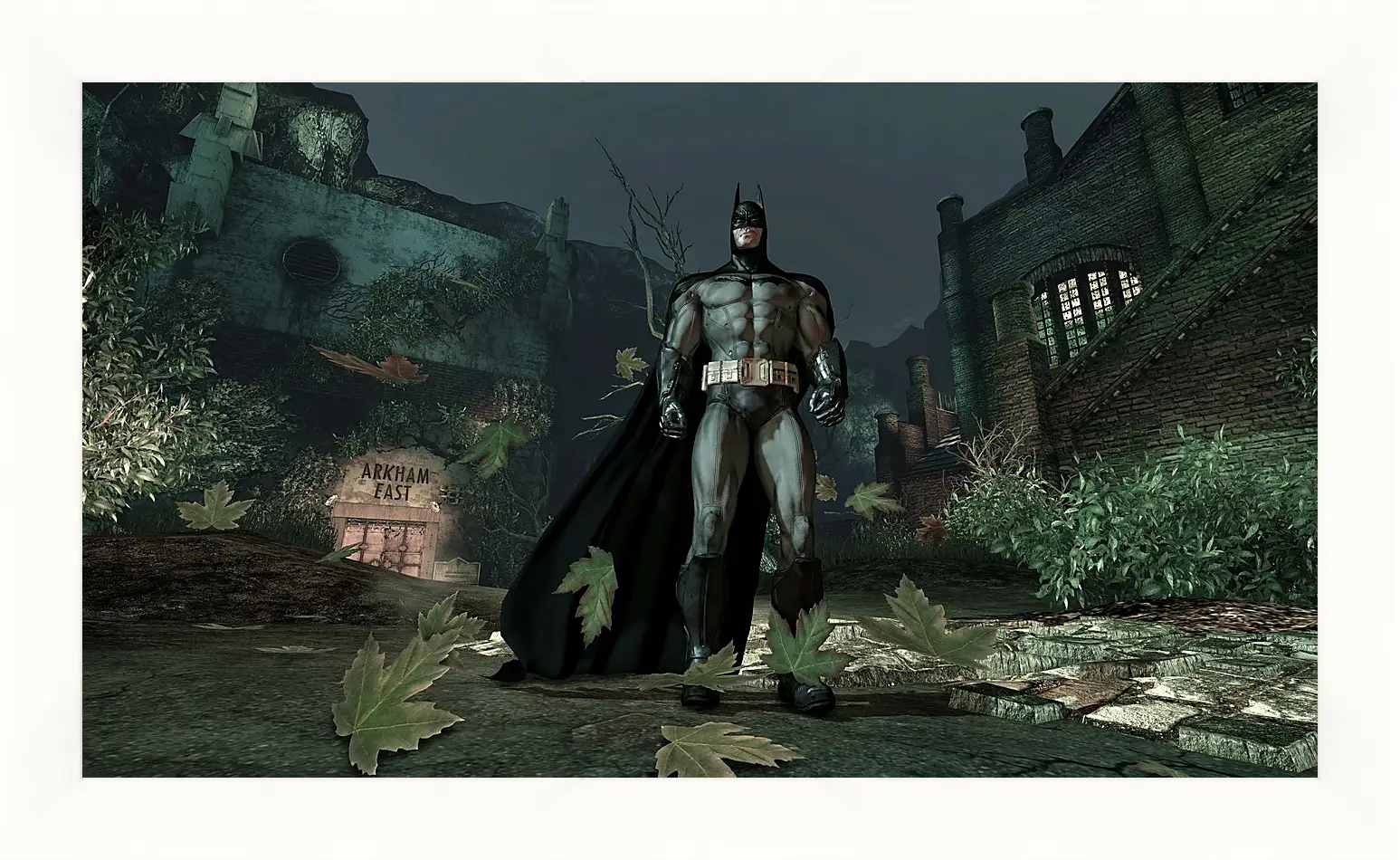 Картина в раме - Batman: Arkham Asylum