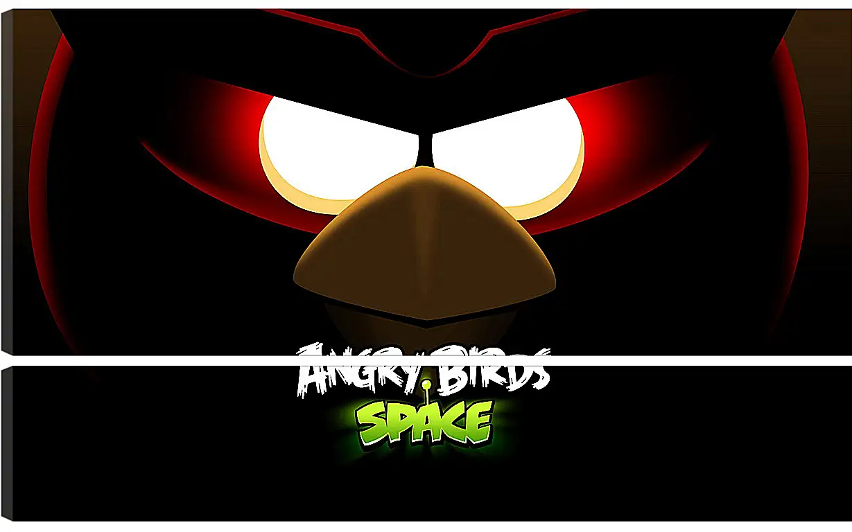 Модульная картина - Angry Birds Space
