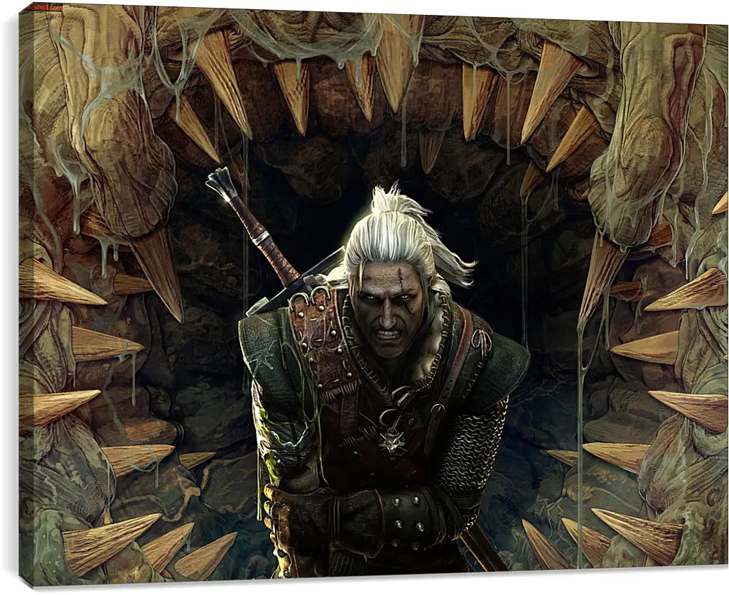 Постер и плакат - The Witcher 2: Assassins Of Kings