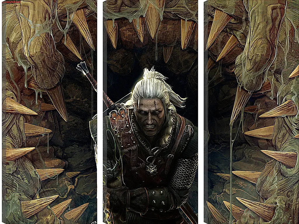 Модульная картина - The Witcher 2: Assassins Of Kings