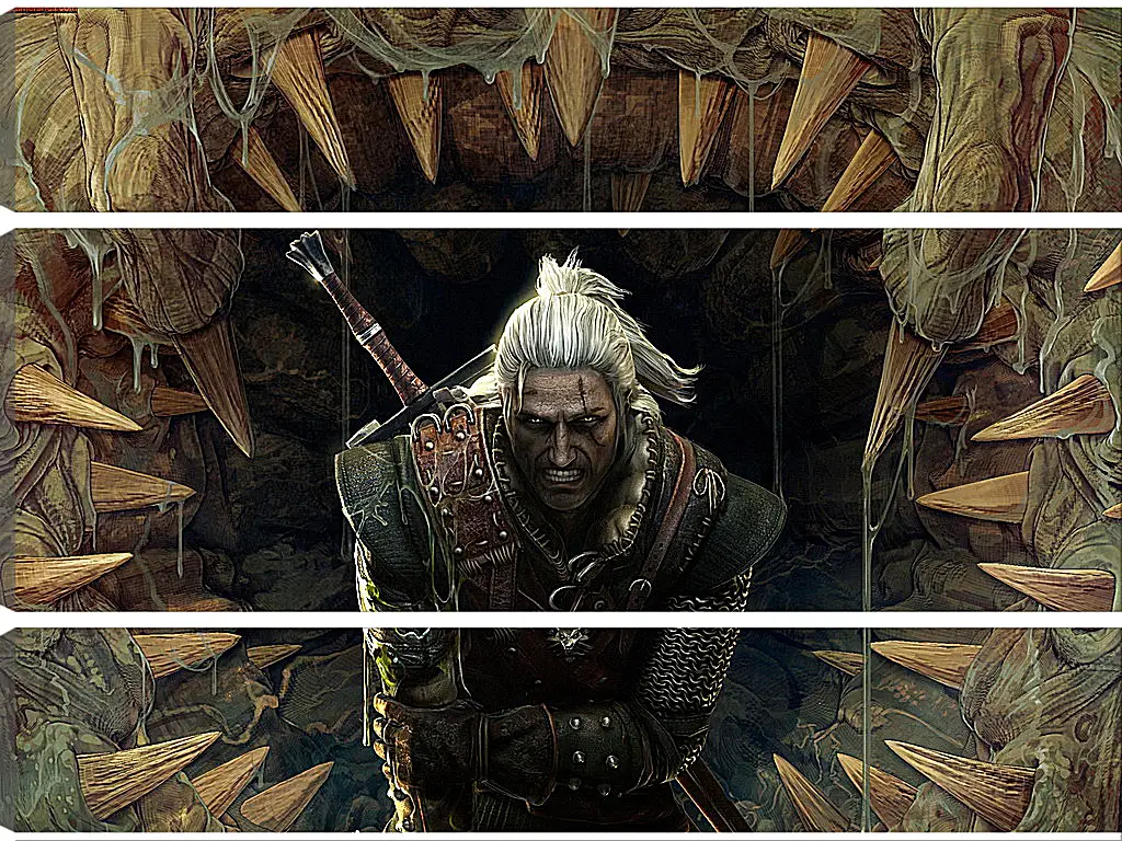 Модульная картина - The Witcher 2: Assassins Of Kings