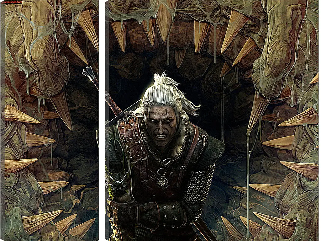 Модульная картина - The Witcher 2: Assassins Of Kings