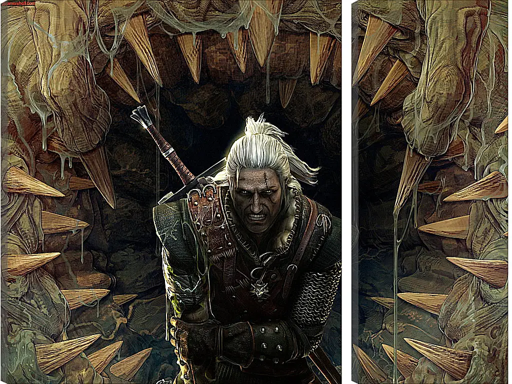 Модульная картина - The Witcher 2: Assassins Of Kings