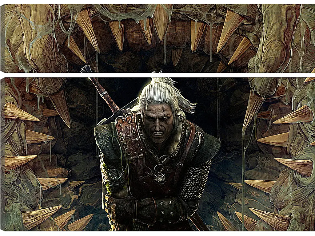 Модульная картина - The Witcher 2: Assassins Of Kings