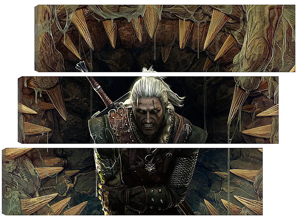 Модульная картина - The Witcher 2: Assassins Of Kings