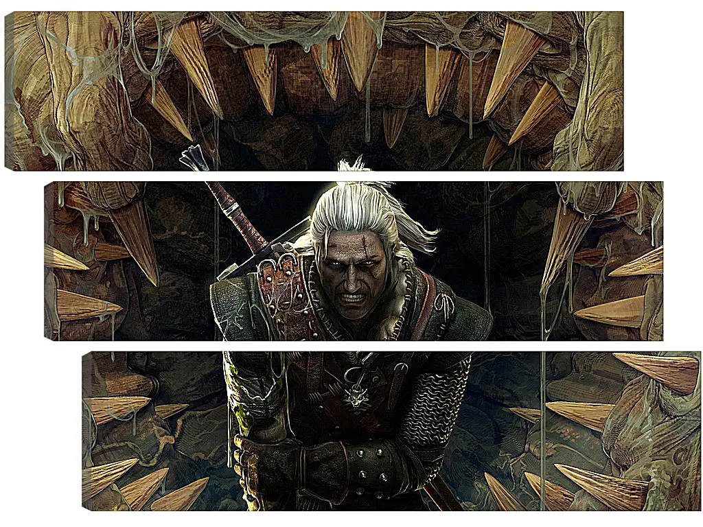 Модульная картина - The Witcher 2: Assassins Of Kings