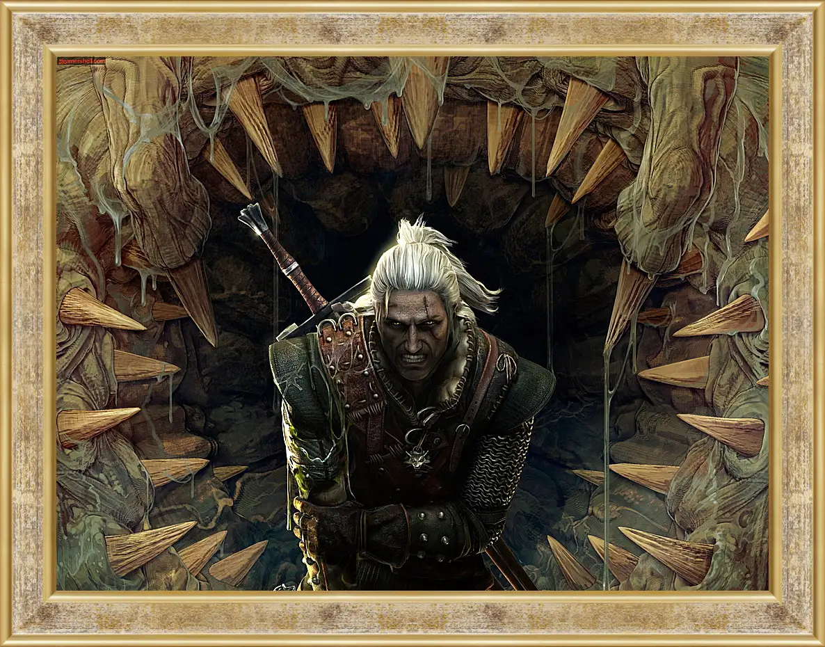 Картина в раме - The Witcher 2: Assassins Of Kings