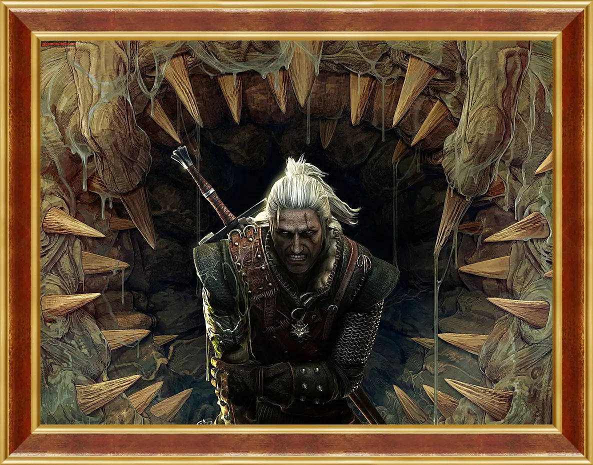 Картина в раме - The Witcher 2: Assassins Of Kings