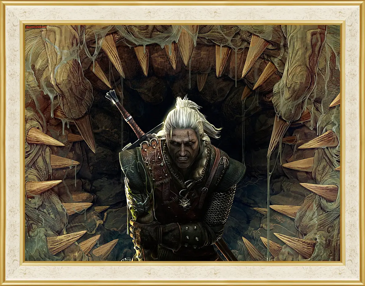 Картина в раме - The Witcher 2: Assassins Of Kings