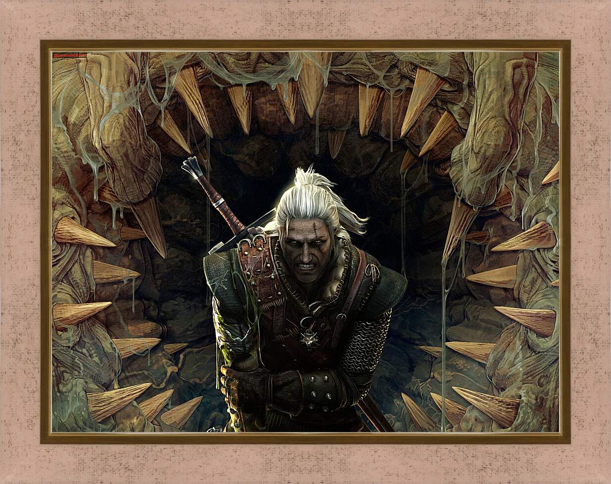 Картина в раме - The Witcher 2: Assassins Of Kings