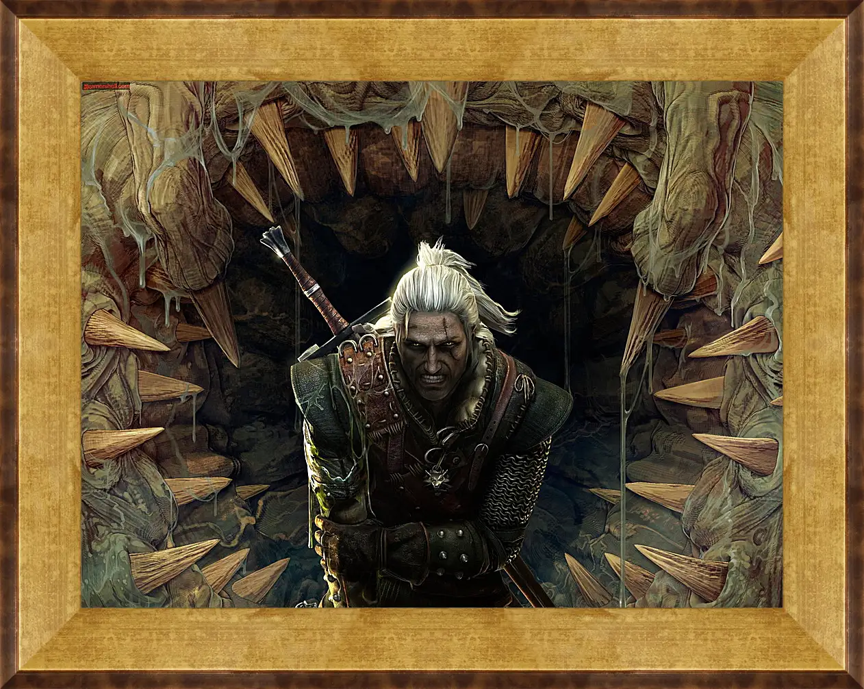 Картина в раме - The Witcher 2: Assassins Of Kings