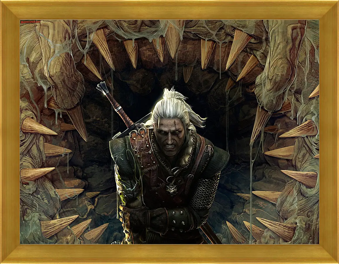 Картина в раме - The Witcher 2: Assassins Of Kings