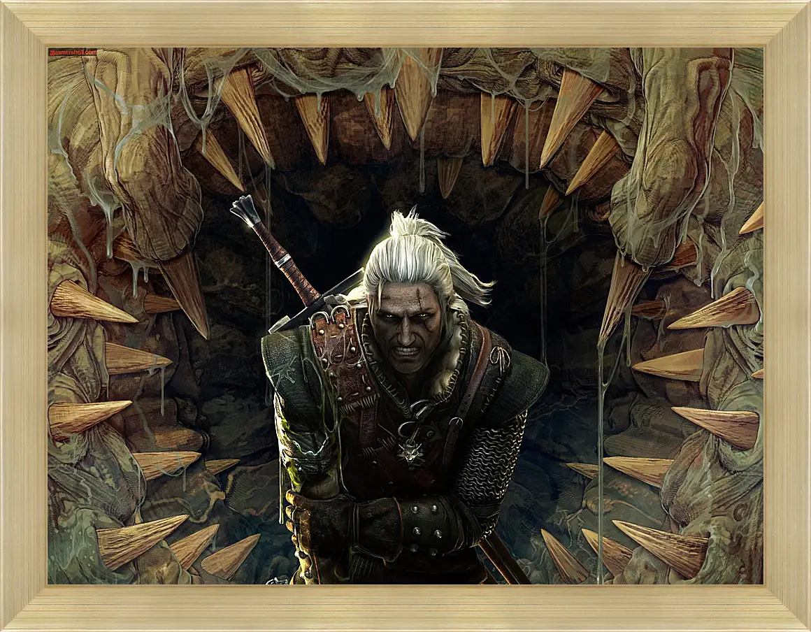 Картина в раме - The Witcher 2: Assassins Of Kings