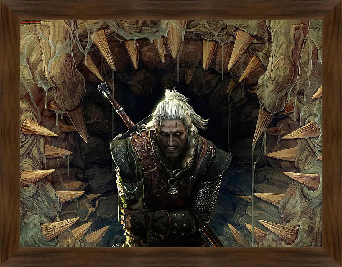 Картина в раме - The Witcher 2: Assassins Of Kings