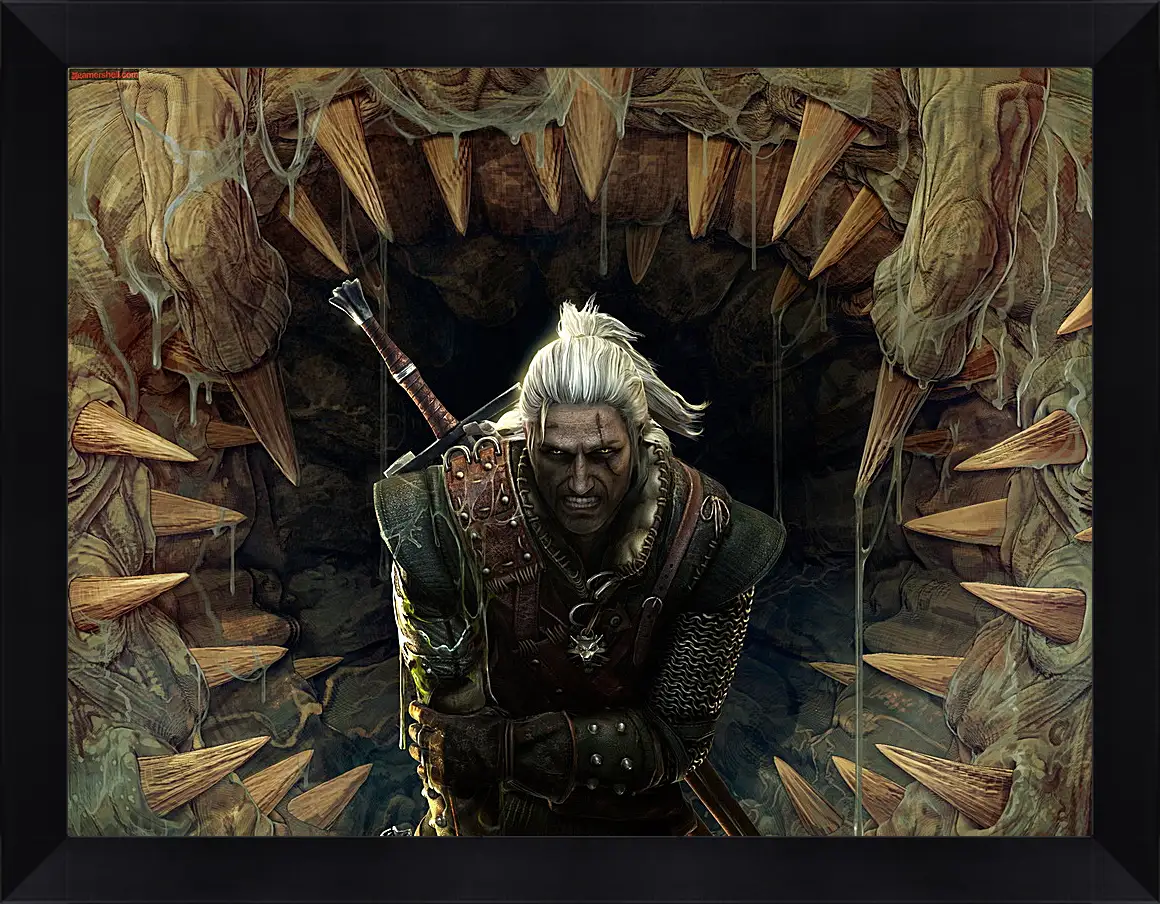 Картина в раме - The Witcher 2: Assassins Of Kings