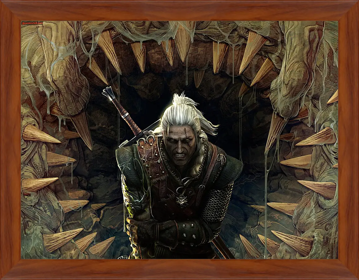 Картина в раме - The Witcher 2: Assassins Of Kings