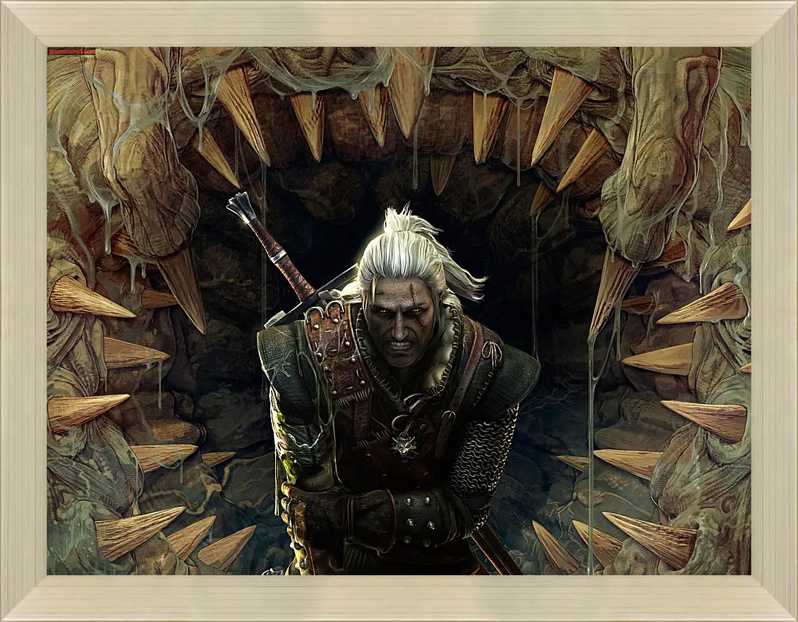 Картина в раме - The Witcher 2: Assassins Of Kings