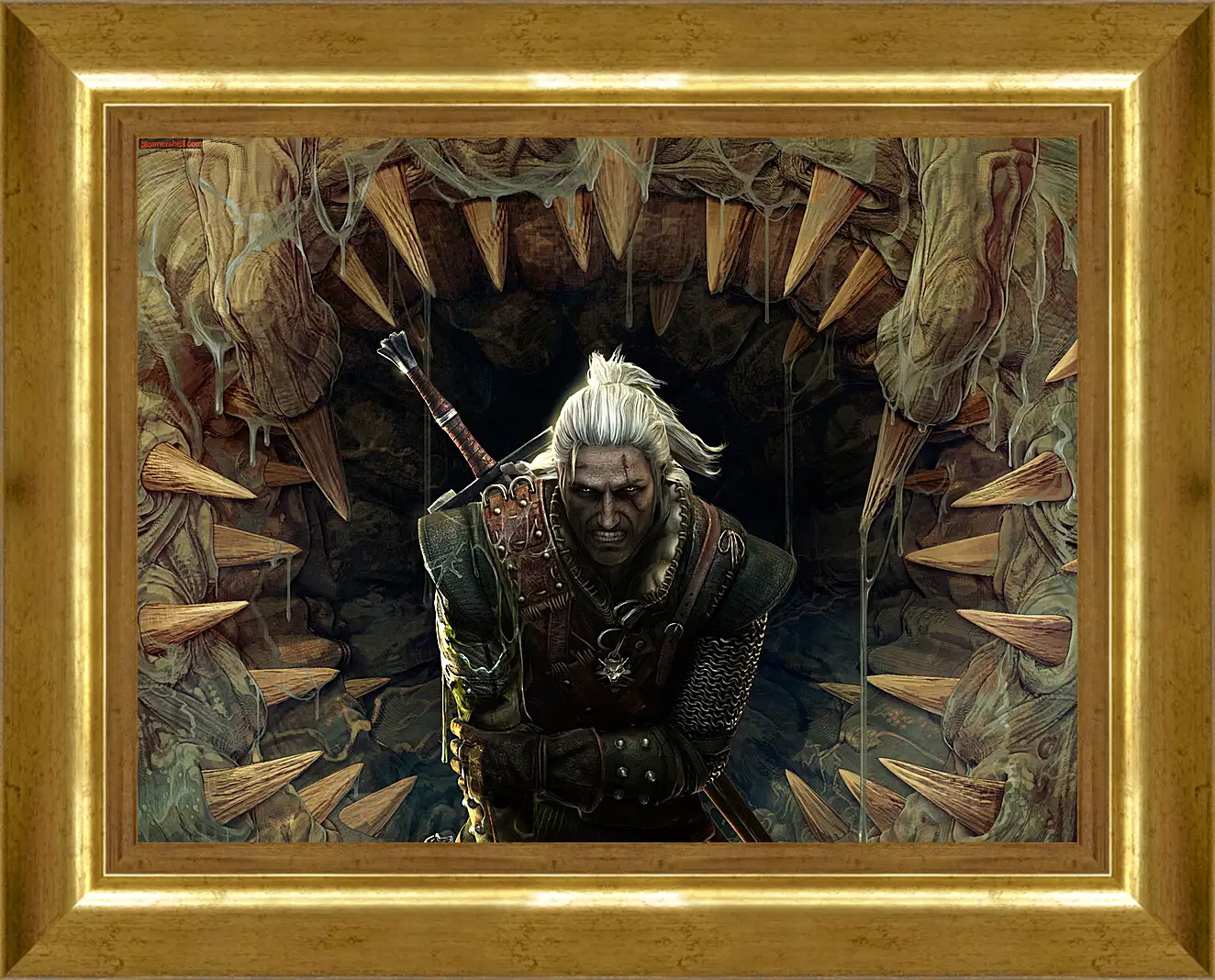 Картина в раме - The Witcher 2: Assassins Of Kings