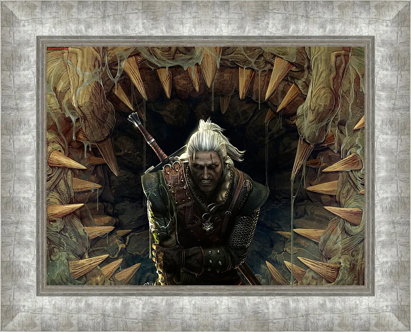 Картина в раме - The Witcher 2: Assassins Of Kings