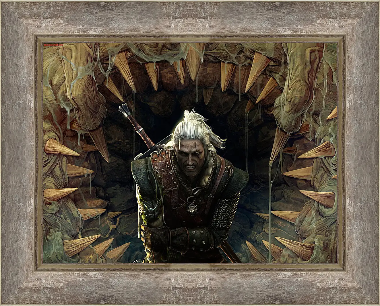 Картина в раме - The Witcher 2: Assassins Of Kings