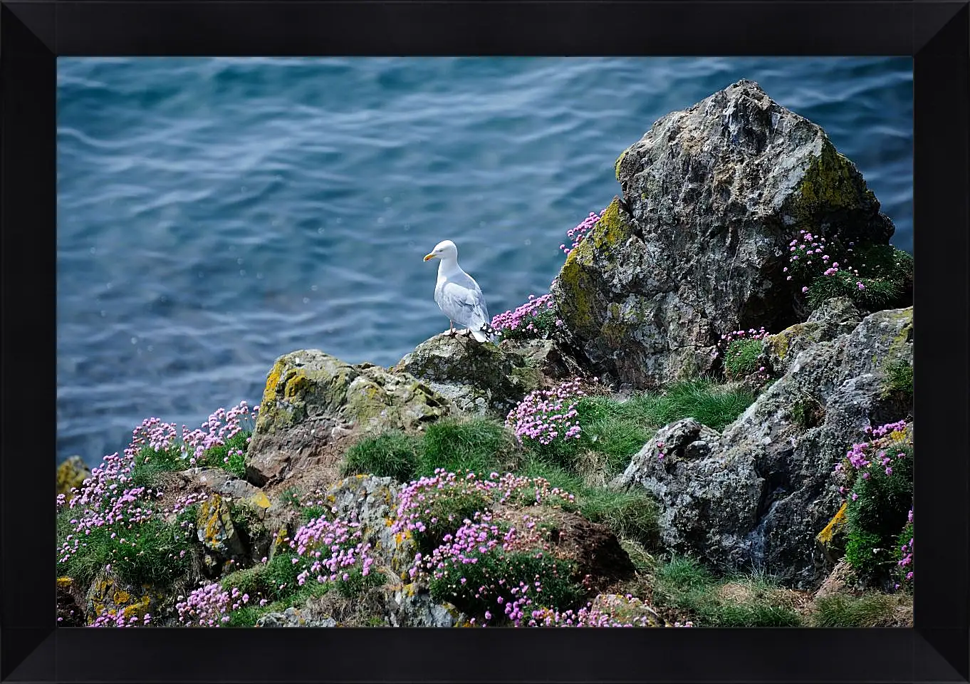 Картина в раме - Чайка