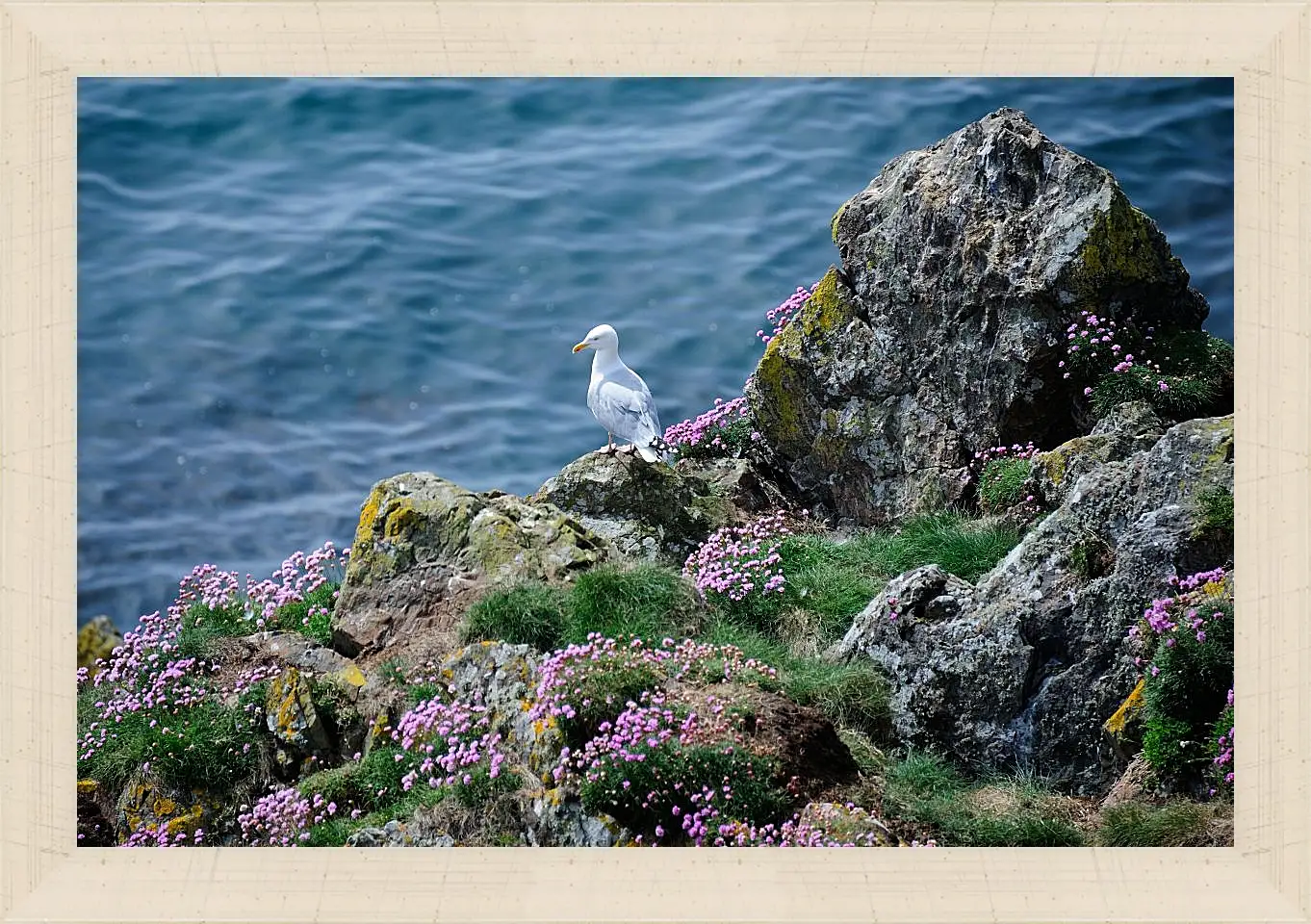 Картина в раме - Чайка