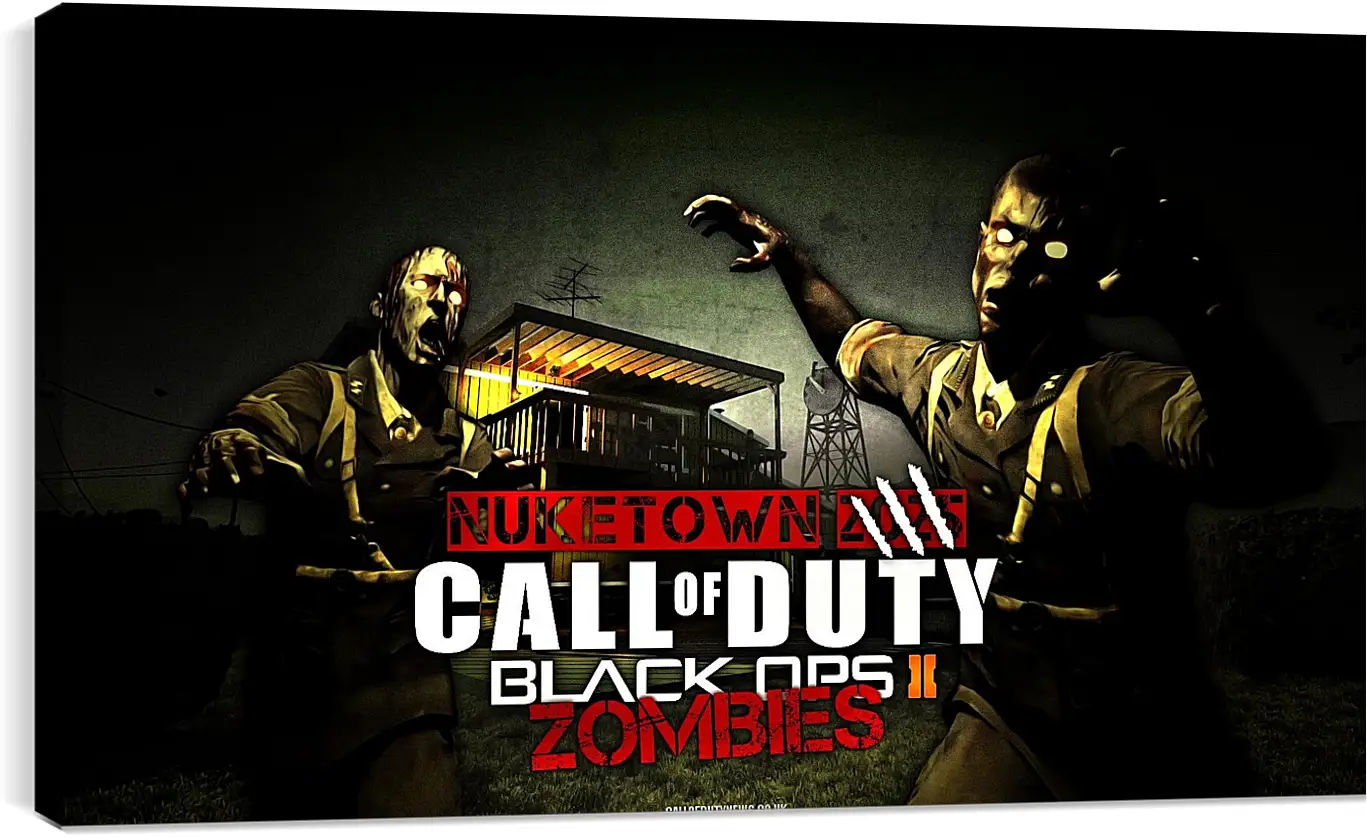 Постер и плакат - Call Of Duty: Black Ops II