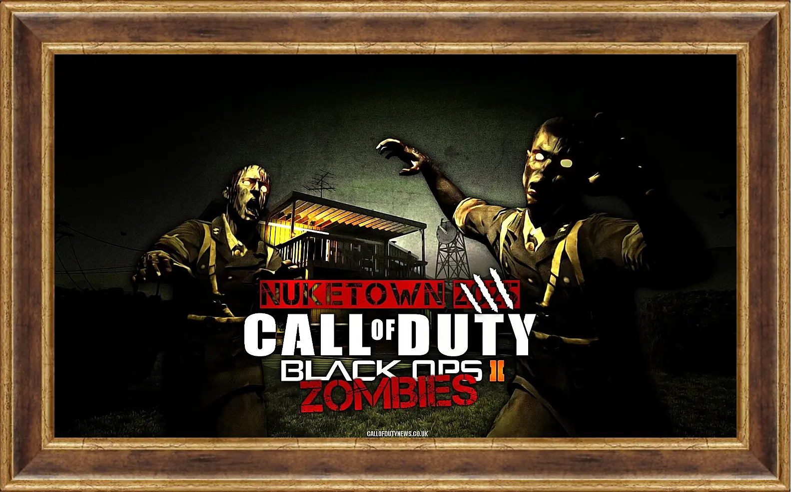 Картина в раме - Call Of Duty: Black Ops II