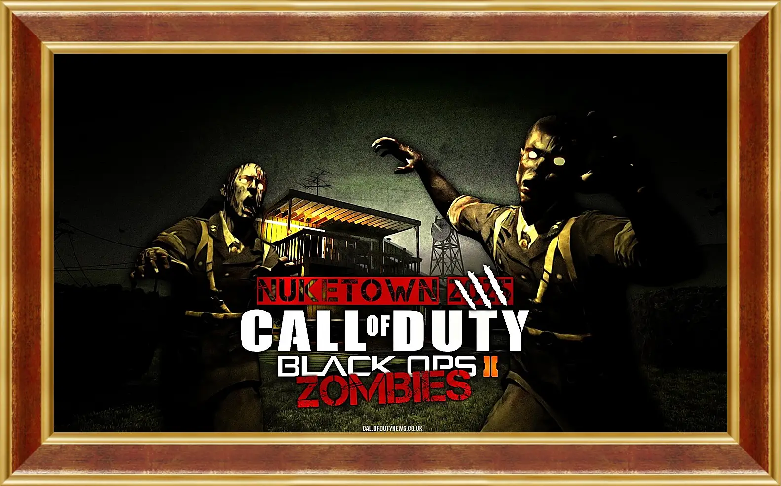 Картина в раме - Call Of Duty: Black Ops II