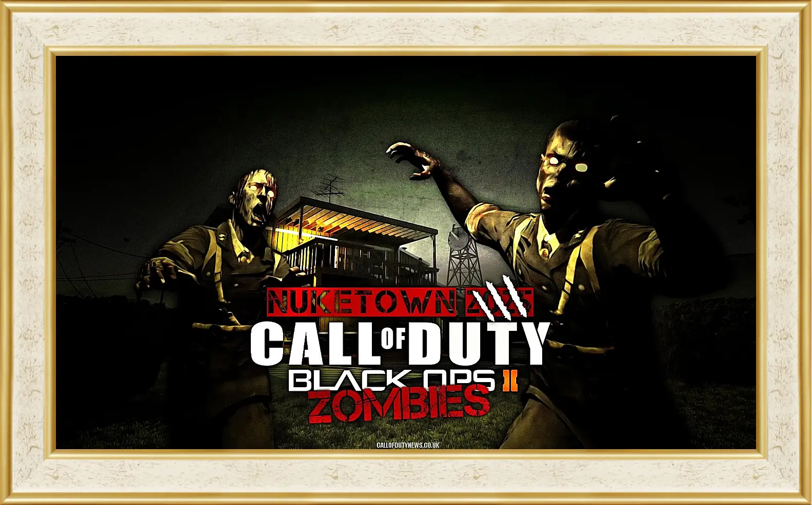 Картина в раме - Call Of Duty: Black Ops II