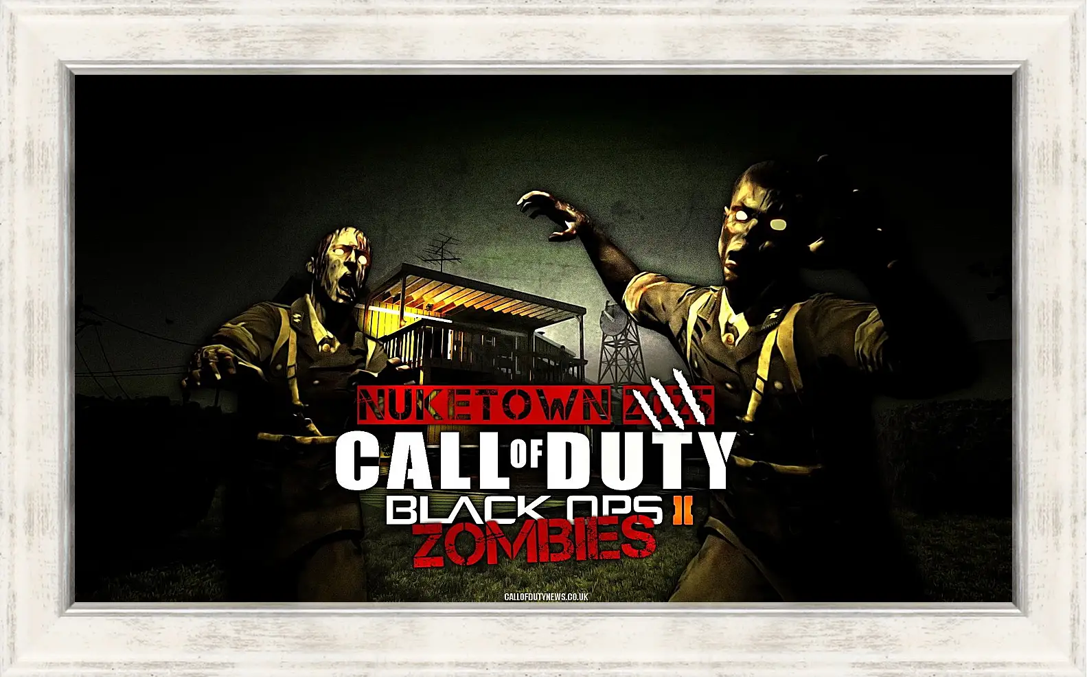 Картина в раме - Call Of Duty: Black Ops II